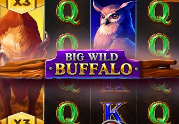 Игра Big Wild Buffalo в RioBet